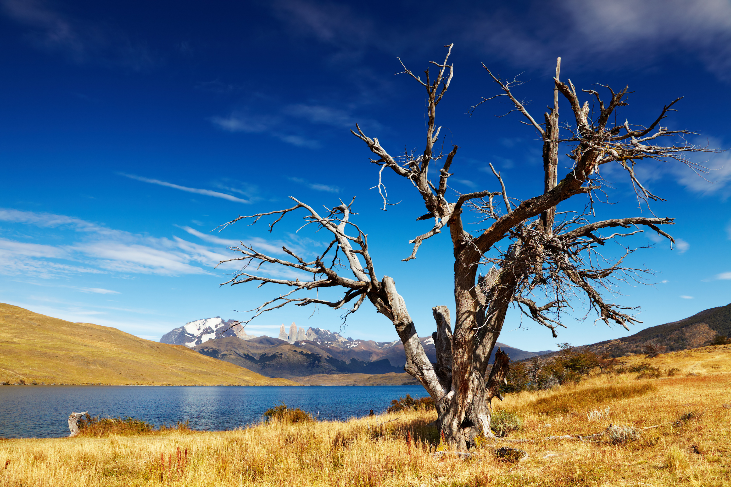 laguna azul camp.webp